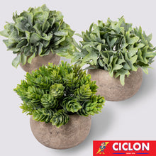 Cargar imagen en el visor de la galería, Planta en maceta de cerámica