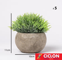 Cargar imagen en el visor de la galería, Planta en maceta de cerámica