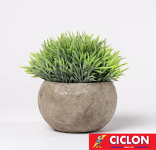 Cargar imagen en el visor de la galería, Planta en maceta de cerámica