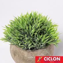 Cargar imagen en el visor de la galería, Planta en maceta de cerámica