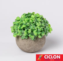 Cargar imagen en el visor de la galería, Planta en maceta de cerámica