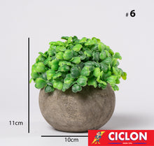 Cargar imagen en el visor de la galería, Planta en maceta de cerámica