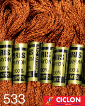 Cargar imagen en el visor de la galería, Hilo Iris para Bordar 100% Rayon Madeja 8m Colores 500-599