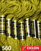 Cargar imagen en el visor de la galería, Hilo Iris para Bordar 100% Rayon Madeja 8m Colores 500-599