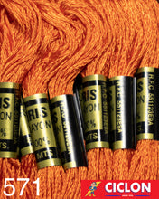 Cargar imagen en el visor de la galería, Hilo Iris para Bordar 100% Rayon Madeja 8m Colores 500-599