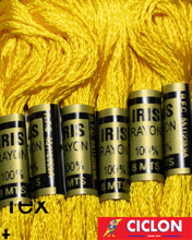 Cargar imagen en el visor de la galería, Hilo Iris para Bordar 100% Rayon Madeja 8m Colores 500-599