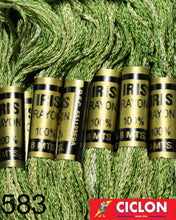 Cargar imagen en el visor de la galería, Hilo Iris para Bordar 100% Rayon Madeja 8m Colores 500-599