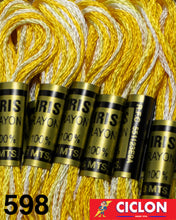 Cargar imagen en el visor de la galería, Hilo Iris para Bordar 100% Rayon Madeja 8m Colores 500-599