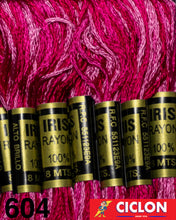 Cargar imagen en el visor de la galería, Hilo Iris para Bordar 100% Rayon Madeja 8m Colores 600-625