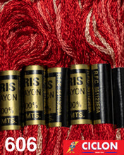 Cargar imagen en el visor de la galería, Hilo Iris para Bordar 100% Rayon Madeja 8m Colores 600-625