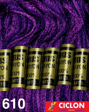 Cargar imagen en el visor de la galería, Hilo Iris para Bordar 100% Rayon Madeja 8m Colores 600-625