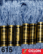 Cargar imagen en el visor de la galería, Hilo Iris para Bordar 100% Rayon Madeja 8m Colores 600-625