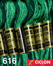 Cargar imagen en el visor de la galería, Hilo Iris para Bordar 100% Rayon Madeja 8m Colores 600-625