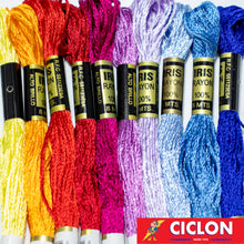 Cargar imagen en el visor de la galería, Hilo Iris para Bordar 100% Rayon Madeja 8m Colores 500-599