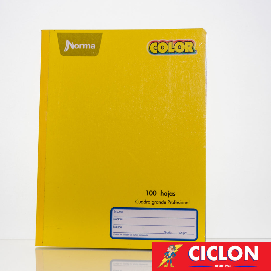 Cuaderno Profesional Cosido Cuadro Grande Norma color