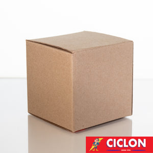 Caja Cubo de Carton No. 4